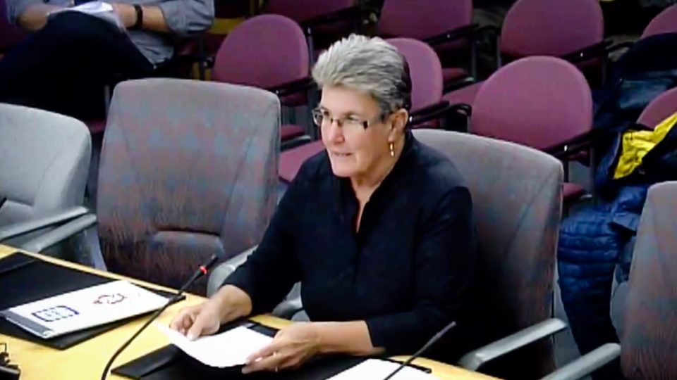 Wendy Bisaro appears at a public hearing regarding the forthcoming Ombudsperson Act in September 2018