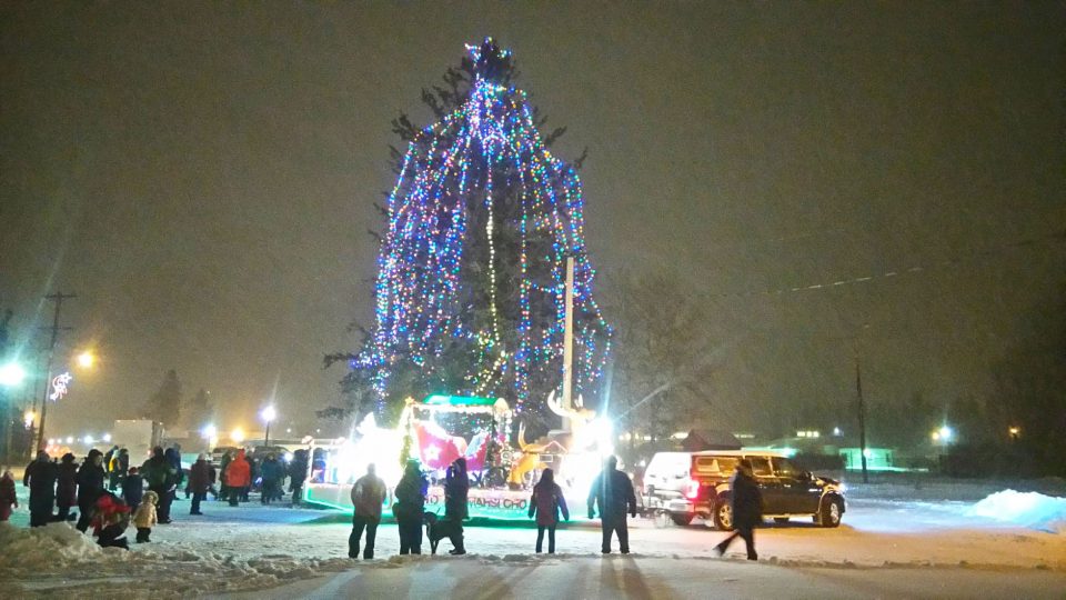 A file photo of the Fort Smith's former Christmas tree in December 2016, the year before it was cut down
