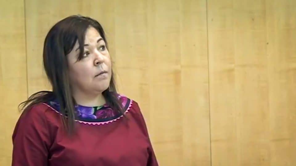 Diane Thom addresses the legislature in October 2019