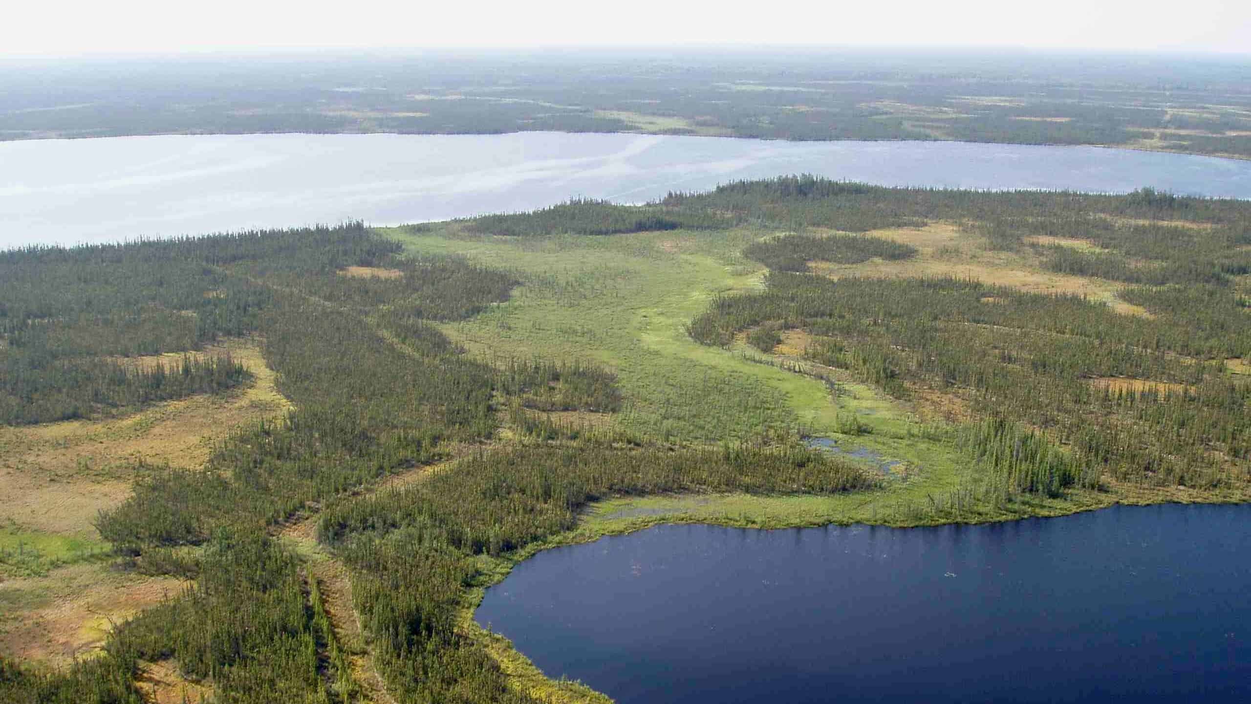 Wetland around the Scotty Creek research station, in the Dehcho, is shown in a photo published by the Canadian Network of Northern Research Operators