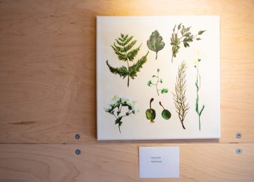 Botanical paintings by Becki Petersen, a Hay River artist, are featured in the YK ARCC's mobile gallery in May 2020.
