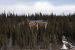 Proposed changes to NWT solar policy leave some concerned