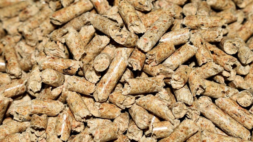 A file image of wood pellets