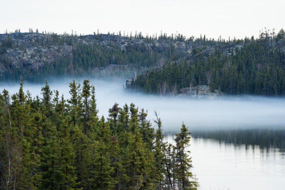 Fog on Great Slave Lake in June 2021