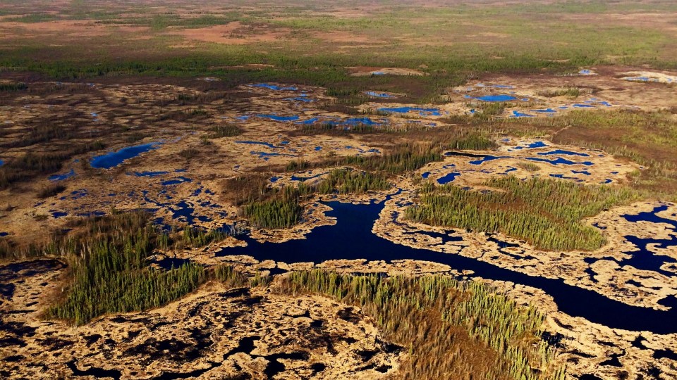 An aerial view of the Edéhzhíe protected area in the NWT's Dehcho, established in 2018
