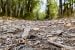 City rolls out draft of bylaw to ban camping on municipal land