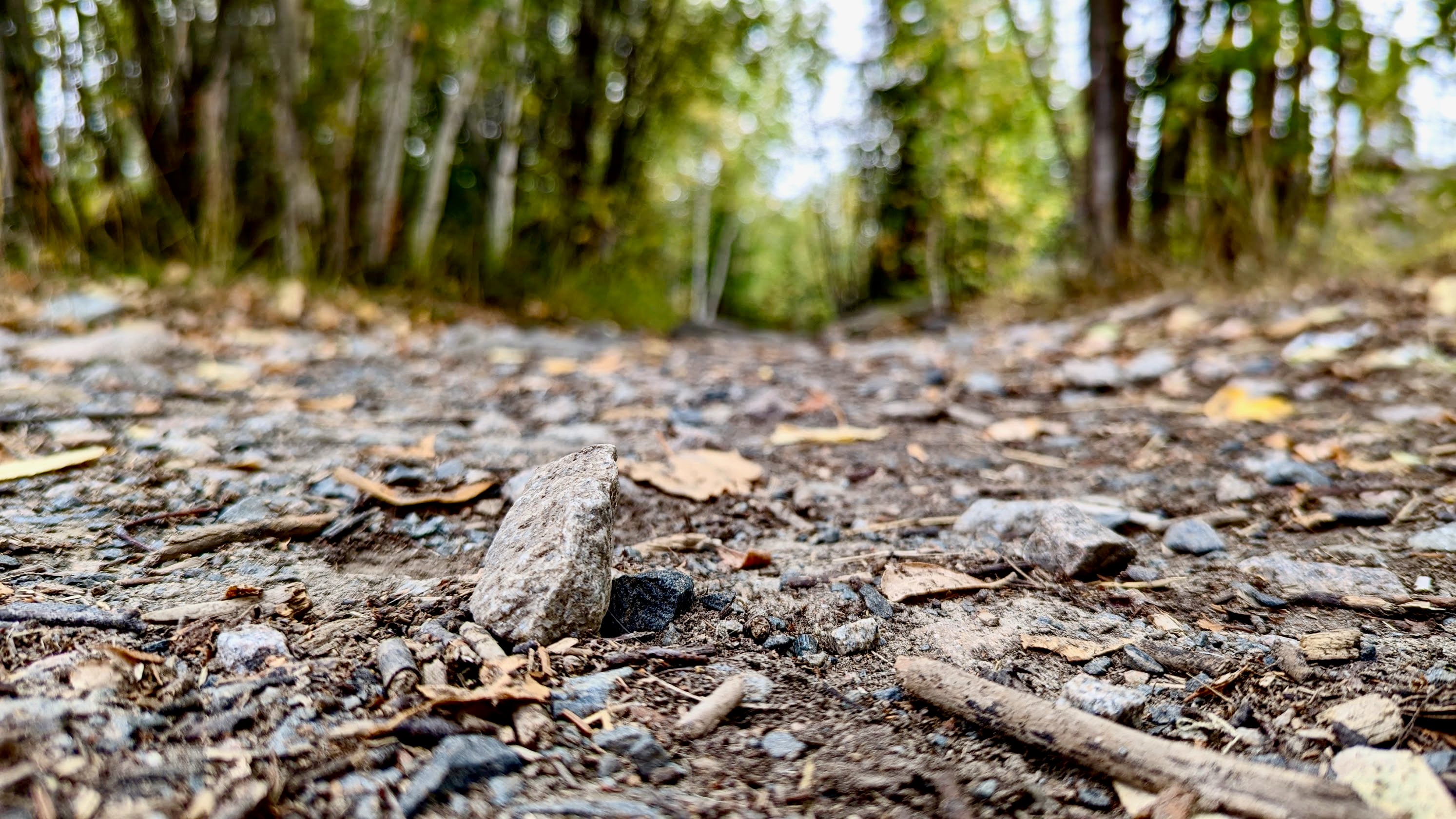 A section of the Frame Lake Trail west of Stanton Territorial Hospital