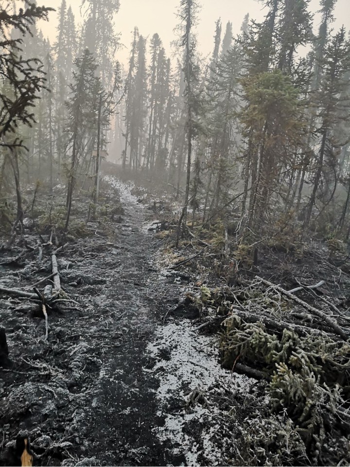 Damage from a wildfire at the Scotty Creek research station. Photo supplied by Dieter Cazon
