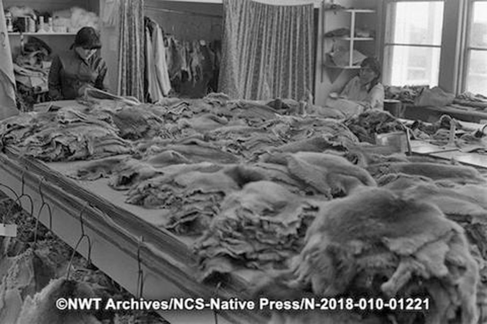 Skins on the table of a craft shop in Aklavik in July 1973