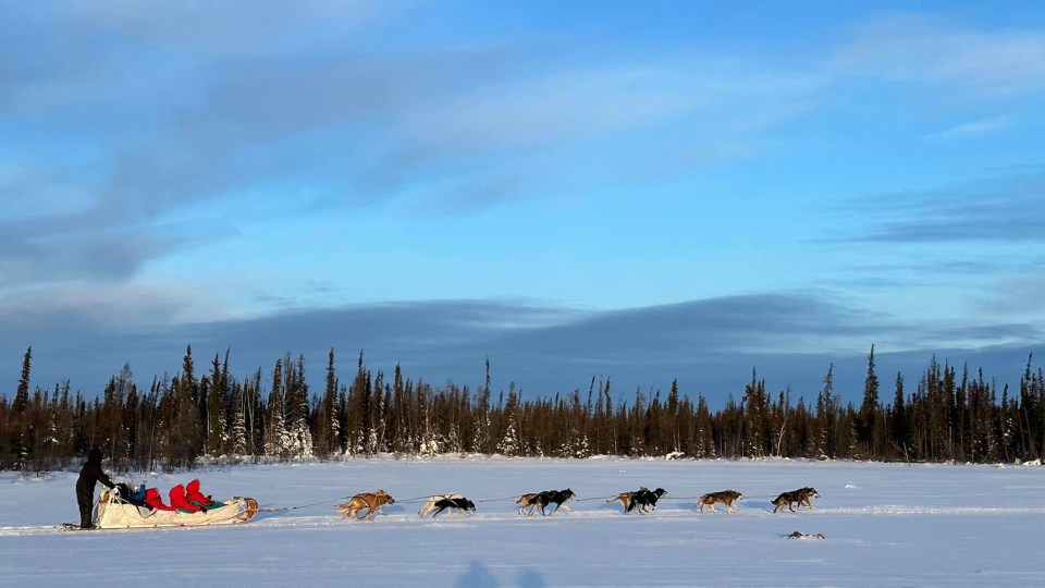 A dogsledding tour. North of 60 Adventures/Facebook