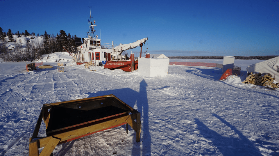 The Arctic Duchess