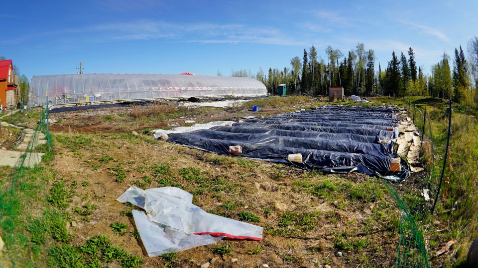 The farm site
