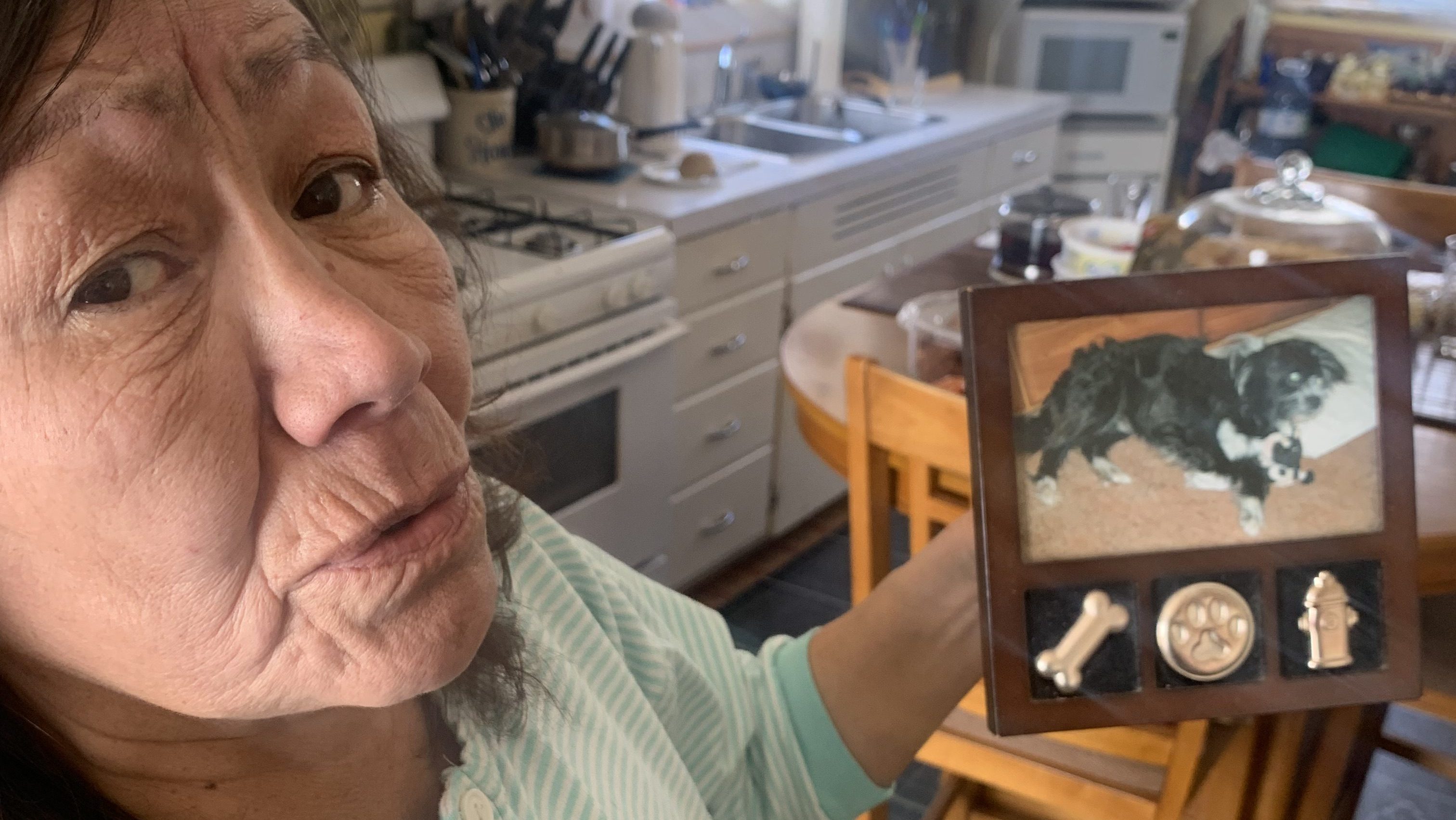 Linda Hanna shows a picture of her late dog, Boots