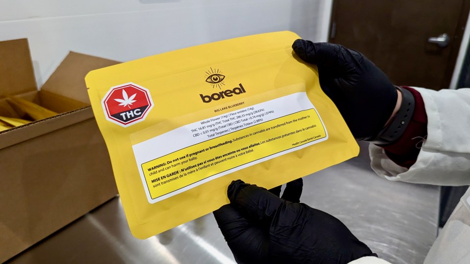 A package of Boreal Cultivation's Big Lake Blueberry, a strain grown elsewhere but packaged in the NWT