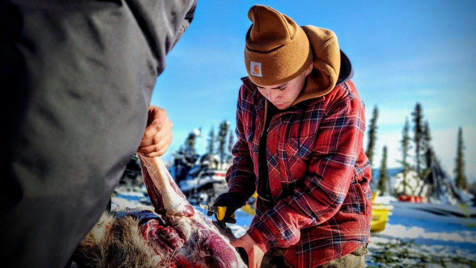 Ethan Koe harvests a caribou