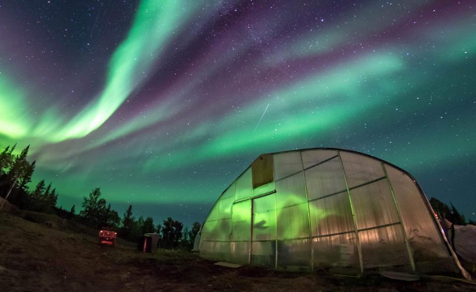 Aurora above the farm in a photo posted to NFTI's Facebook page in 2019