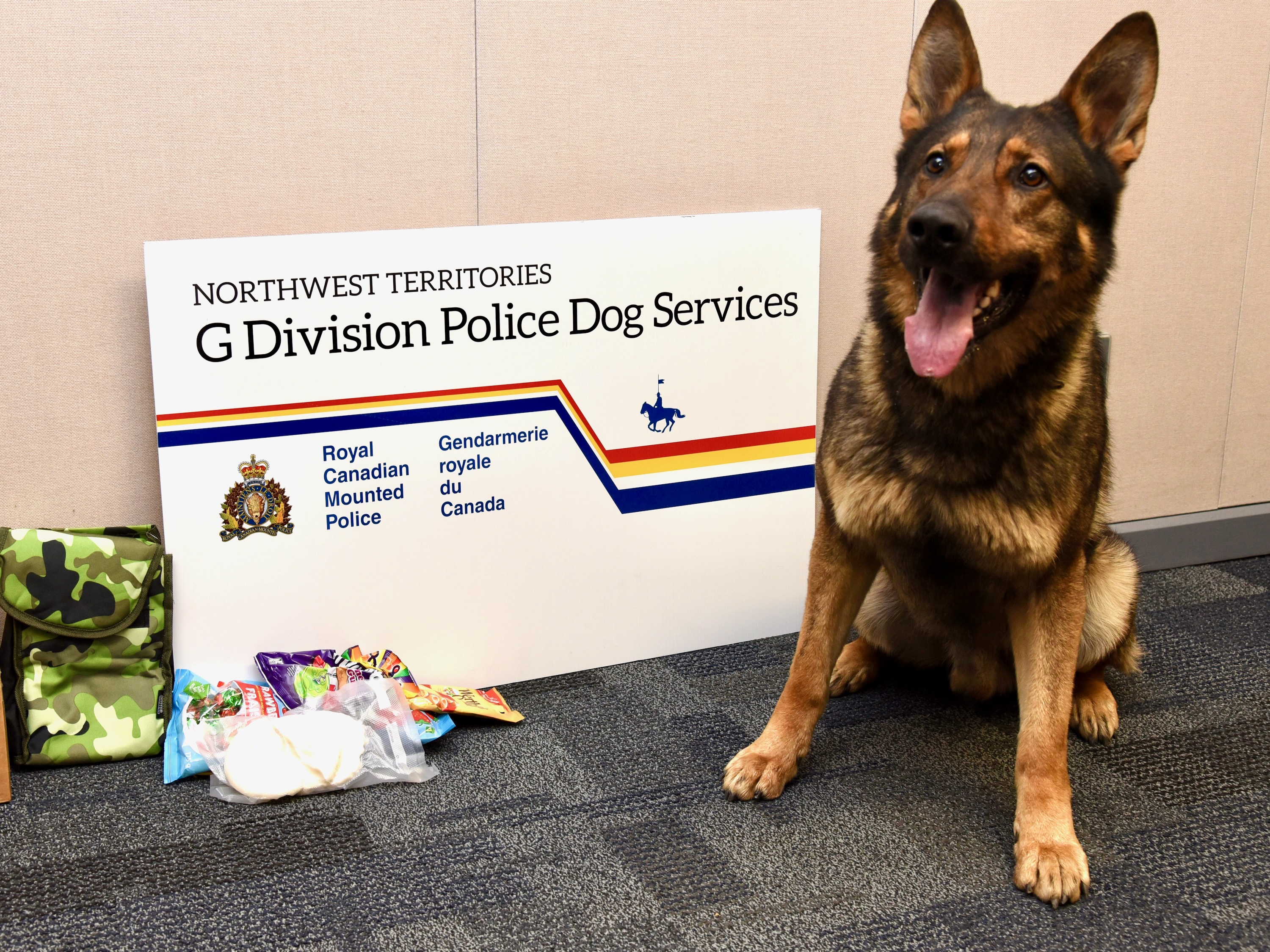 RCMP puppies given new names in nationwide contest