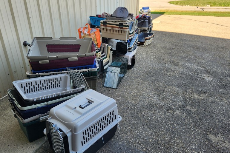 Pet carriers awaiting transit to Yellowknife. Photo: Submitted