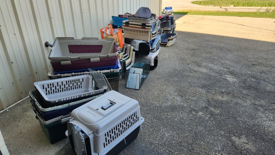 Pet carriers awaiting transit to Yellowknife. Photo: Submitted