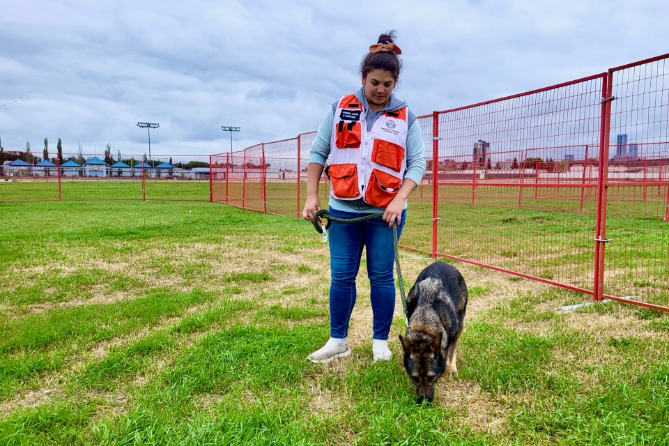 A City of Edmonton worker and dog inside the evacuee dog park. Photo: City of Edmonton