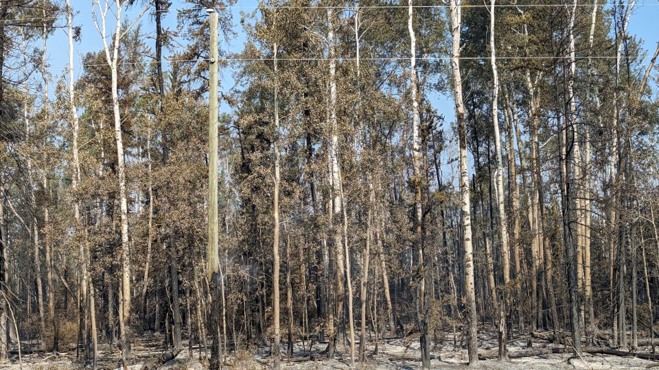 A power pole smoulders south of Enterpriseon August 16, 2023. Sarah Pruys/Cabin Radio