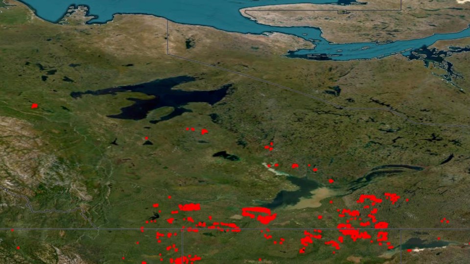 A screenshot of NASA’s Fire Information for Resource Management System map from August 25, 2023. Photo: https://firms.modaps.eosdis.nasa.gov/map/#d:24hrs;@0.0,0.0,3.0z