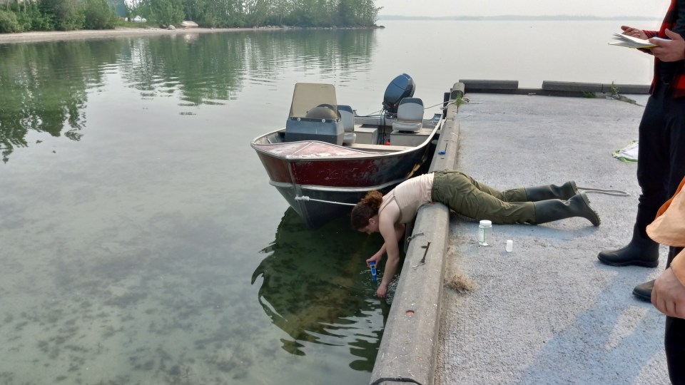 Baran reaches over the side of a dock to collect a water sample from Lac La Martre. Chloe Williams/Cabin Radio