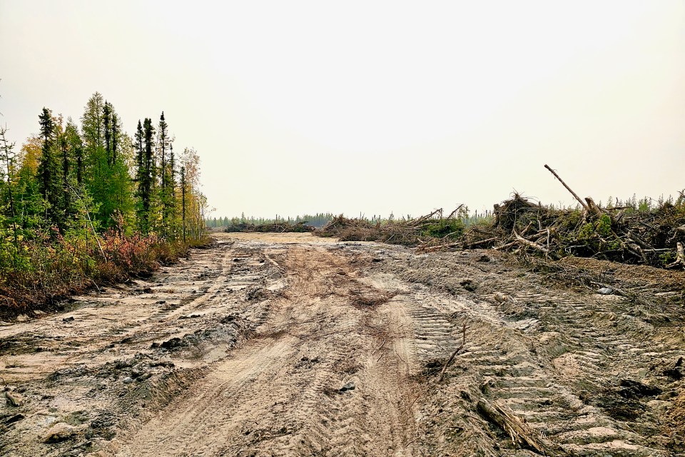 A fire break on Yellowknife's western periphery in September 2023. Ollie Williams/Cabin Radio