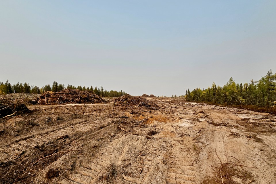 A fire break on Yellowknife's western periphery in September 2023. Ollie Williams/Cabin Radio