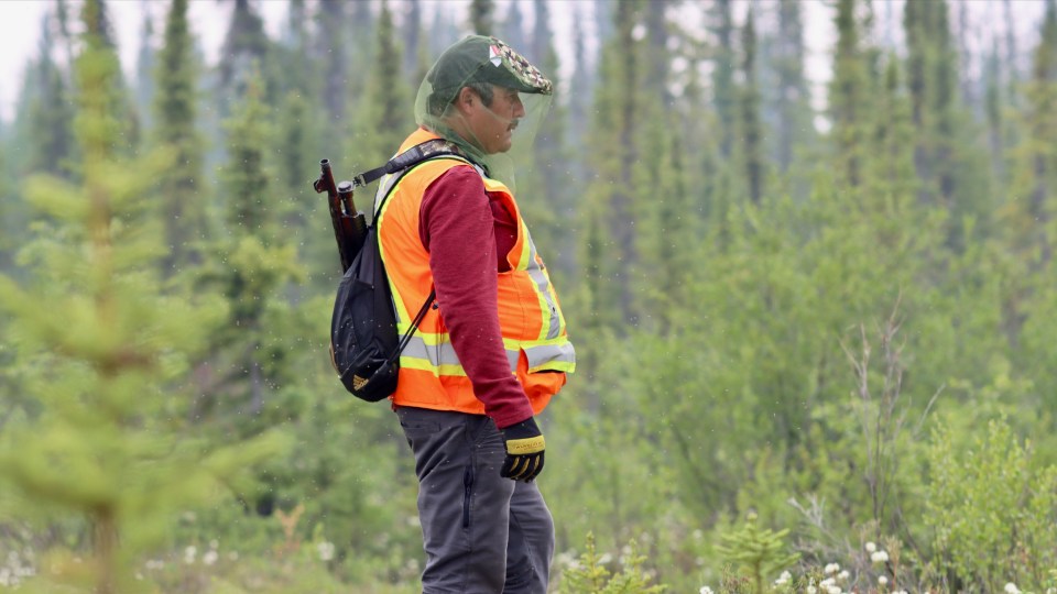 Bear monitor Richard Romi stands guard while researchers collect data outside of Whatì. Chloe Williams/Cabin Radio