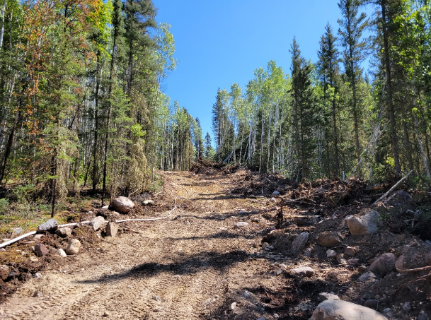 A dozer guard in the Pine Lake area of Wood Buffalo National Park. Photo: Parks Canada