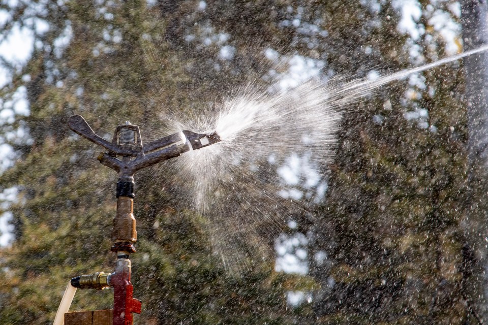 A sprinkler head at the NWT-Alberta border, one of hundreds set up all over the NWT to ward off wildfire. Photo: Bill Braden