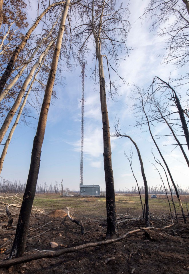 Flames scorched the metal control shed at the base of this microwave tower (now back in operation) near Enterprise. Photo: Bill Braden
