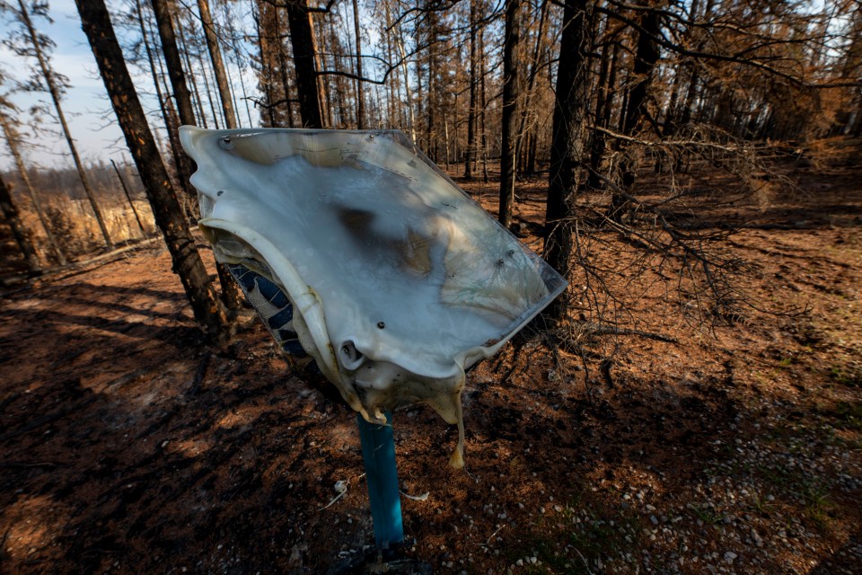 An interpretive sign at McNallie Creek didn't survive the wildfire storm. Photo: Bill Braden