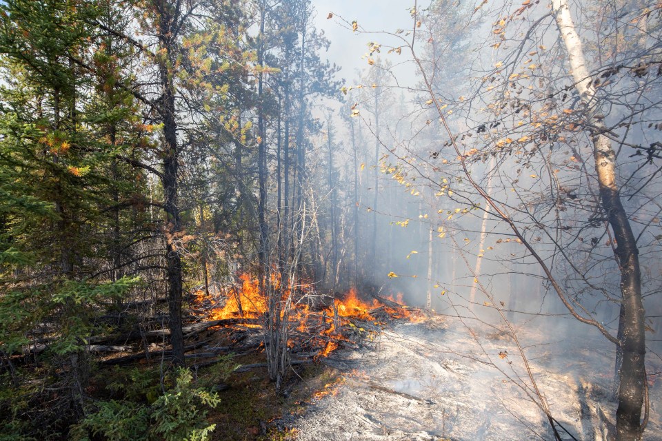 A spot fire at the side of Highway 1 west of Kakisa on the morning of September 15. Photo: Bill Braden