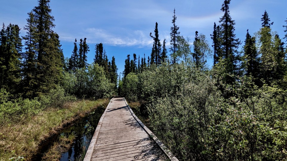 A boardwalk on Tin Can Hill. Ollie Williams/Cabin Radio