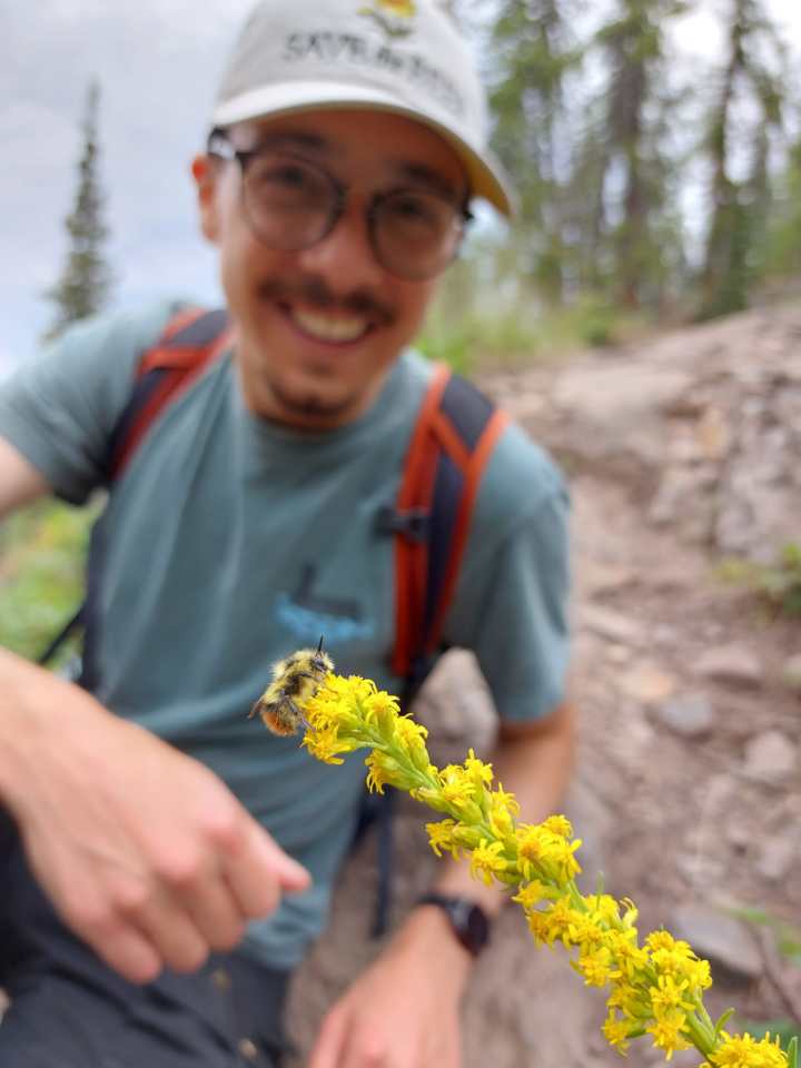 Anthony Colangelo with a bee. Photo: Submitted