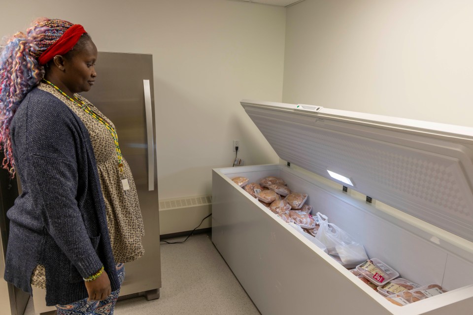 Hawa Dumbuya-Sesay inspects a chest freezer full of meat. Ollie Williams/Cabin RadioHawa Dumbuya-Sesay inspects a chest freezer containing meat. Ollie Williams/Cabin Radio