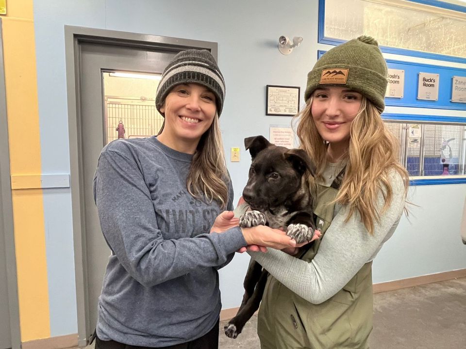 A dog inside the warmth of the NWT SPCA shelter on January 10, 2024. Aastha Sethi/Cabin Radio