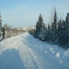 The Mackenzie Valley Winter Road in an undated image. Photo: GNWT