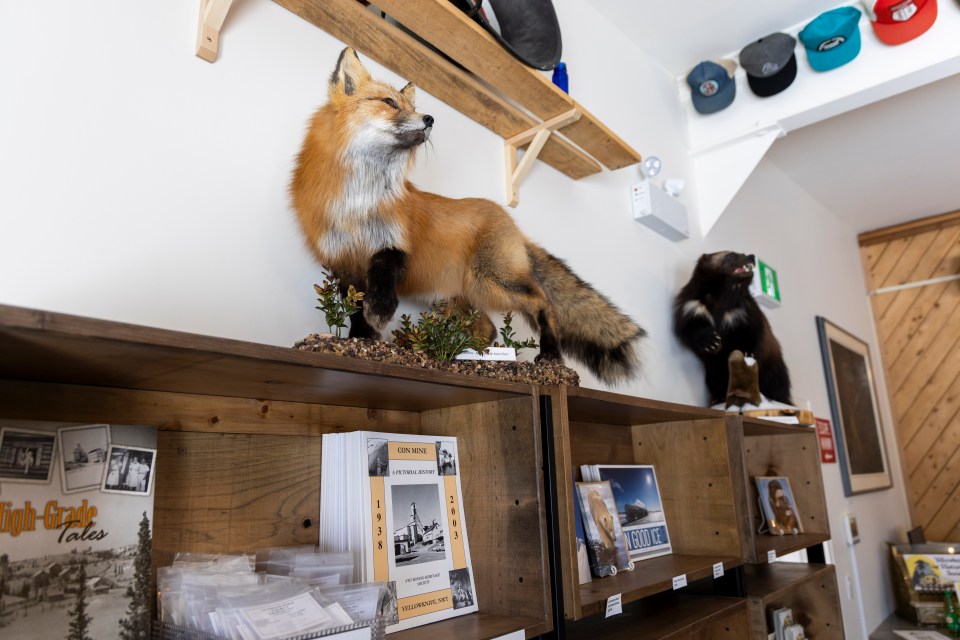 Inside the Yellowknife Historical Museum gift store. Ollie Williams/Cabin Radio
