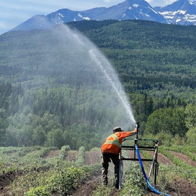 Tea Creek Farm appears in a July 2023 photo posted to its Facebook page.