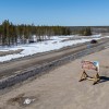 The entrance to the Tłı̨chǫ Highway, Highway 9 to Whatì. Ollie Williams/Cabin Radio