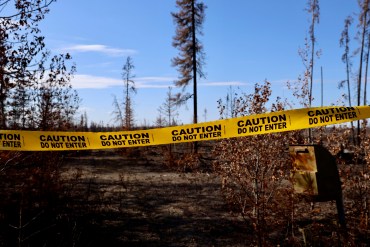 A closed trail within a burn area inside Wood Buffalo National Park. Ollie Williams/Cabin Radio