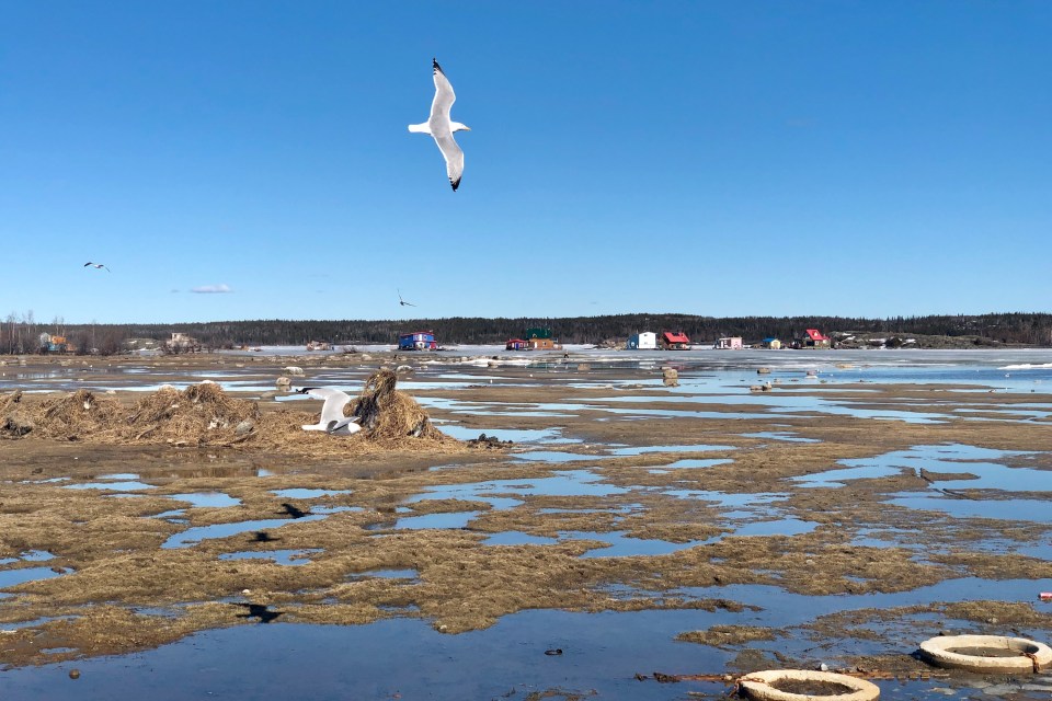 Low water levels on Yellowknife Bay in May 2024. Emily Blake/Cabin Radio