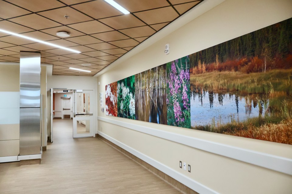 Art in the main foyer of the Łıwegǫ̀atì building. Emily Blake