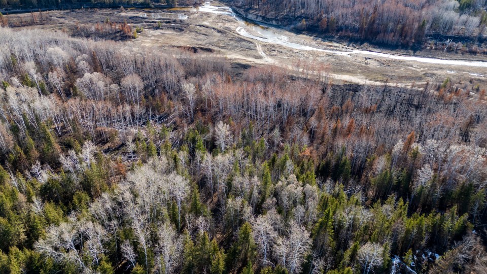 The Salt River. Ollie Williams/Cabin Radio