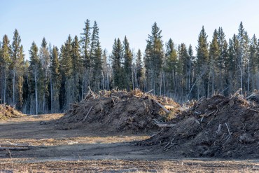 Piles of wood and debris in Fort Smith following 2023's wildfire season and evacuation. Ollie Williams/Cabin Radio