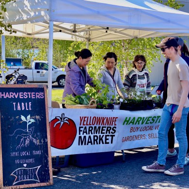 The farmers' market's Harvesters Table allows gardeners to sell produce at the market without becoming a vendor. Caelan Beard/Cabin Radio