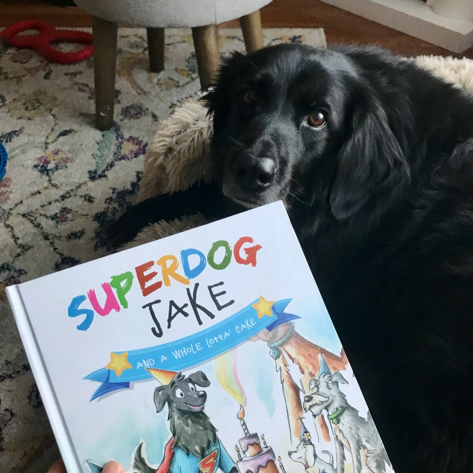 The dog in question. Photo: Submitted